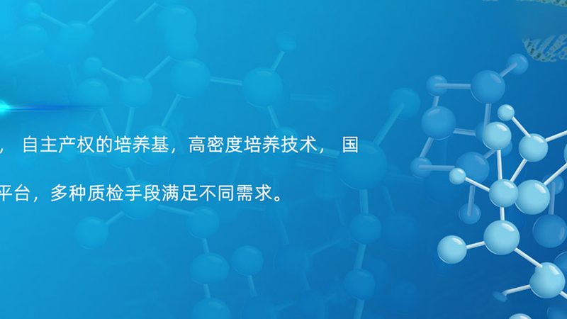 生物医药外包批量生产步骤解析