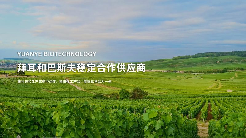 定制移液器，如何选择更适合自己的品牌？**