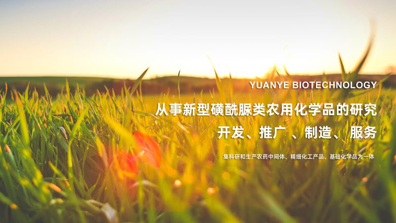 生物试剂采购平台对比