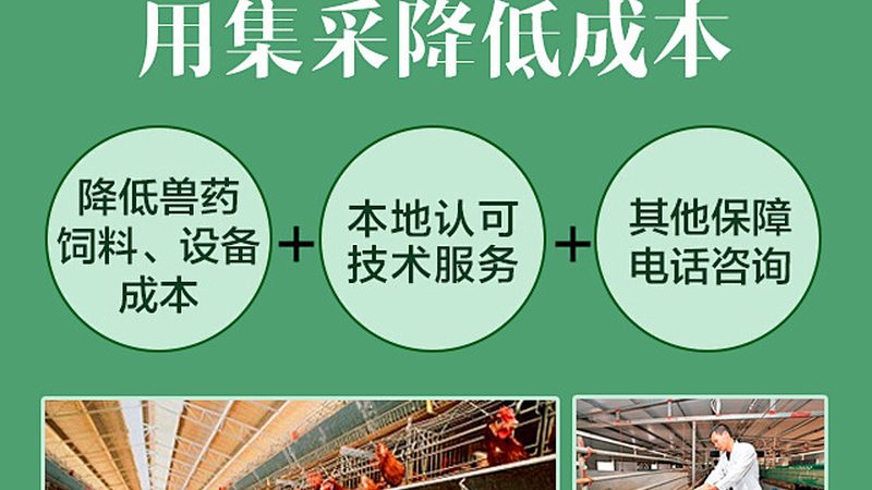 生物医药外包成本核算模板：关键要素与实操要点