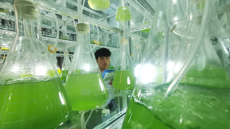 广州生物医药外包人才厂家：揭秘生物医药外包的幕后英雄**